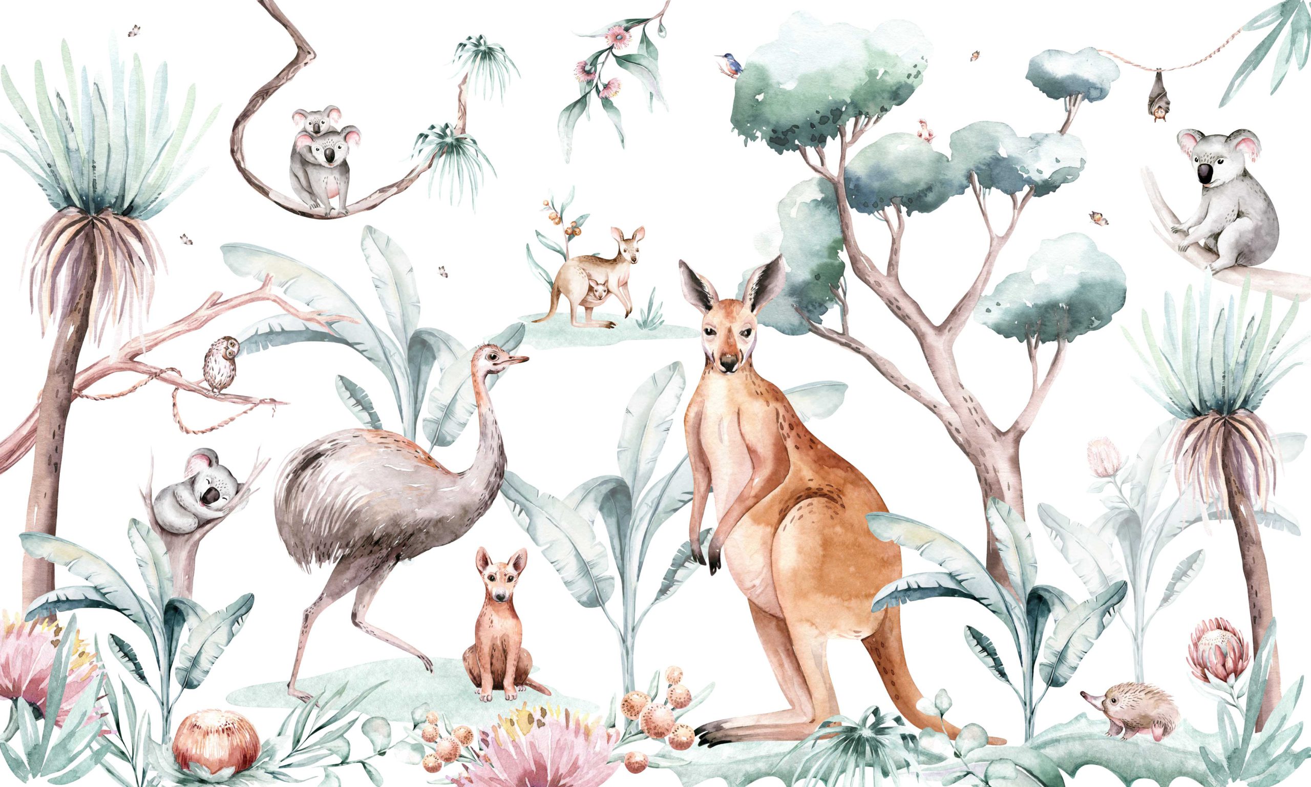 Papier Peint Animaux D Australie Pour Enfant Wellpapers