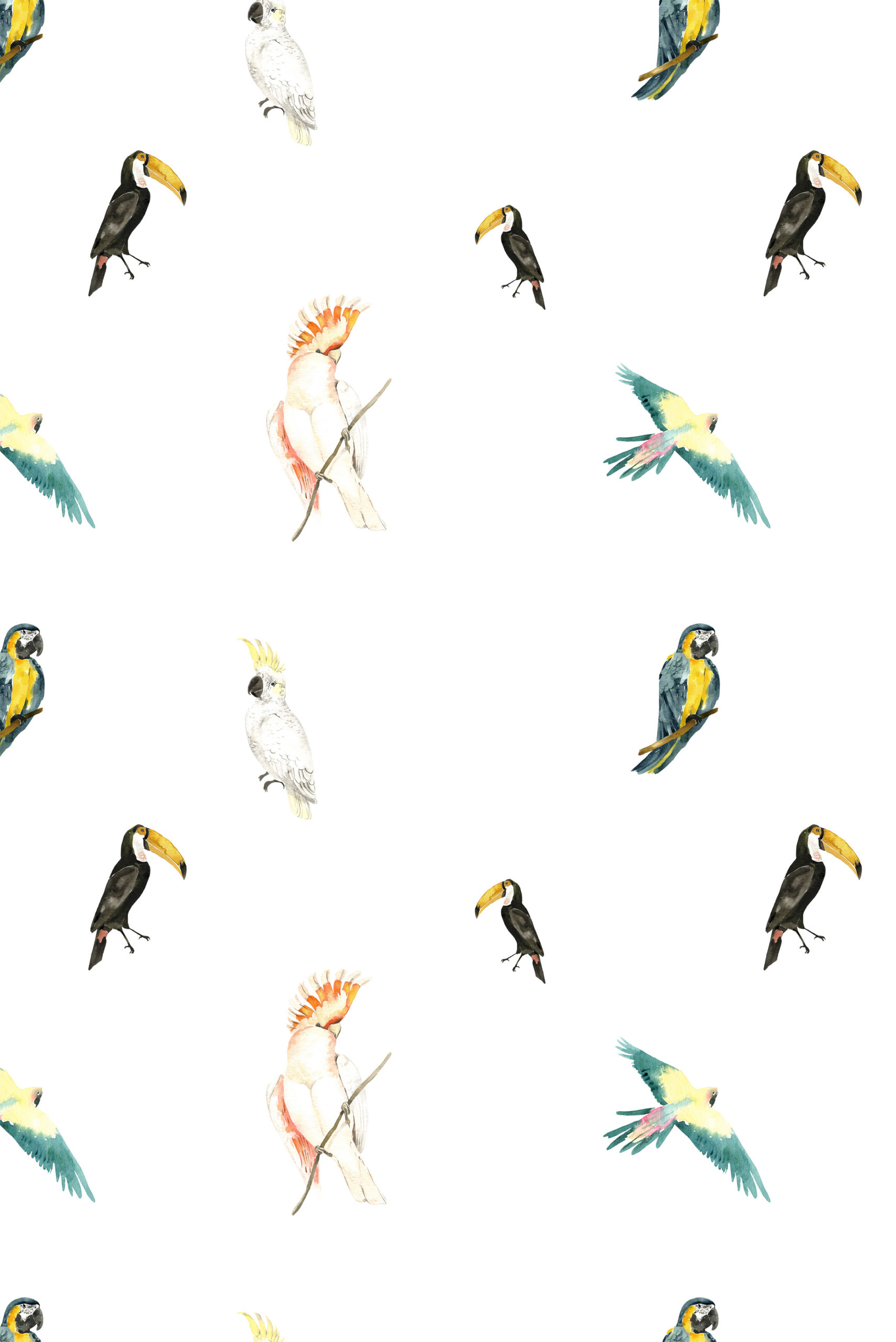 papier peint n48 oiseaux tropicaux vintage motif