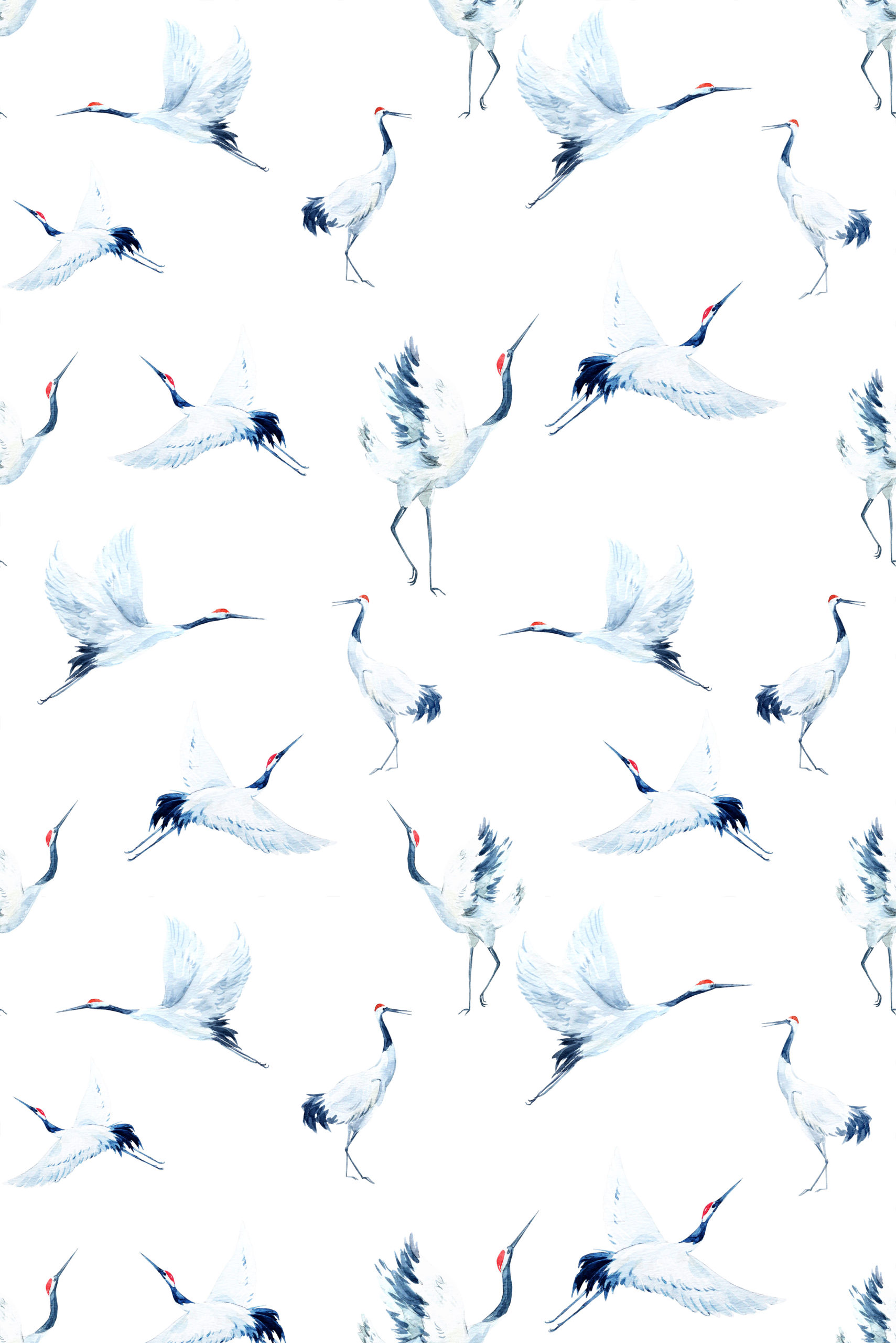 papier peint n°46 oiseaux aquarelle nature motif