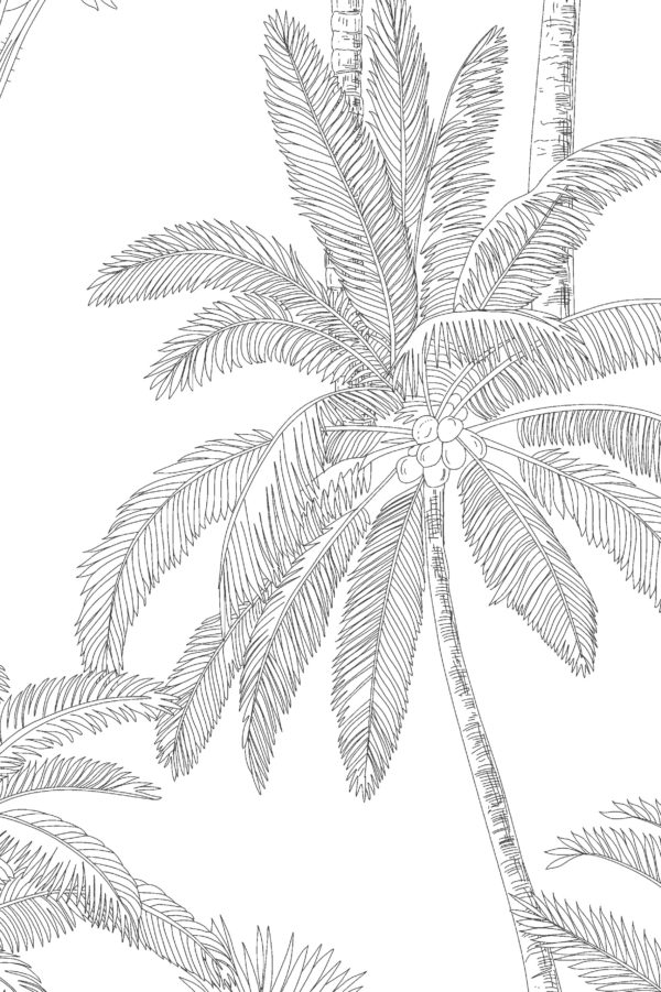 papier peint n60 espaces publics palmier sur fond blanc zoom