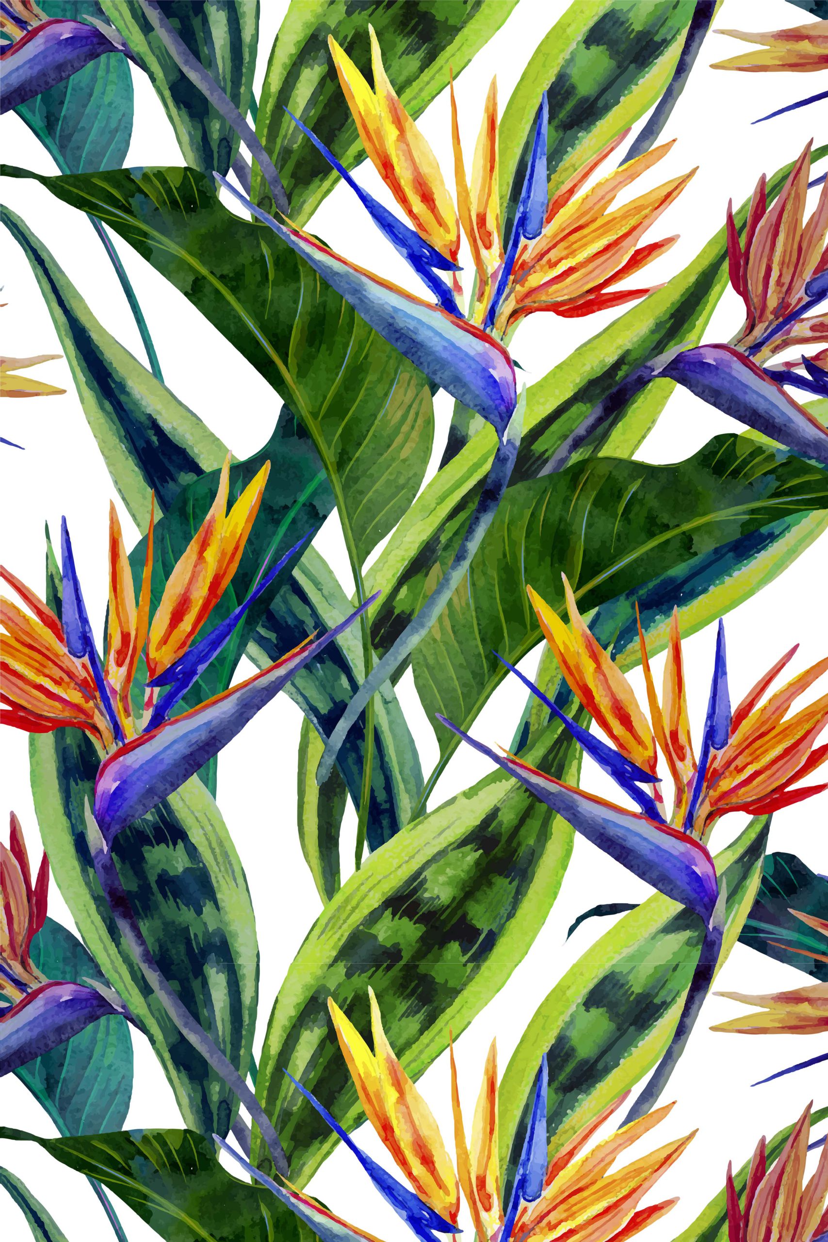 papier peint n78 plantes tropicales élégantes colorées