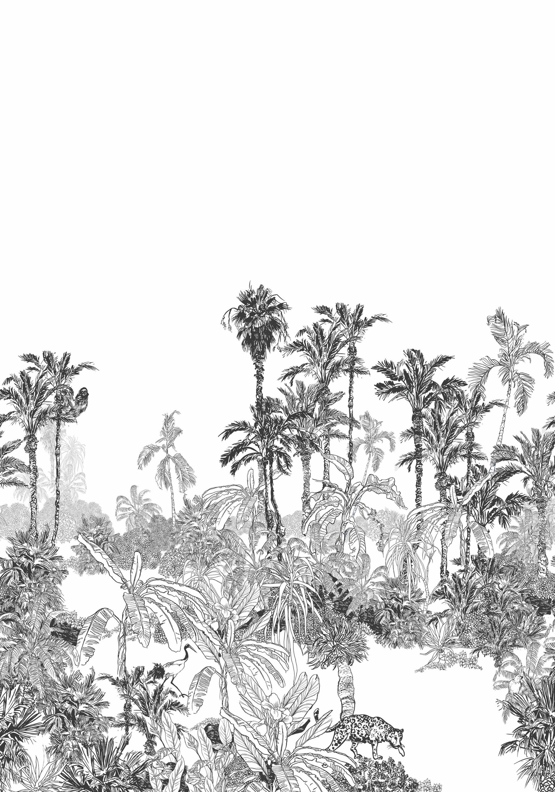 papier peint n90 panoramique tropical noir et blanc motif