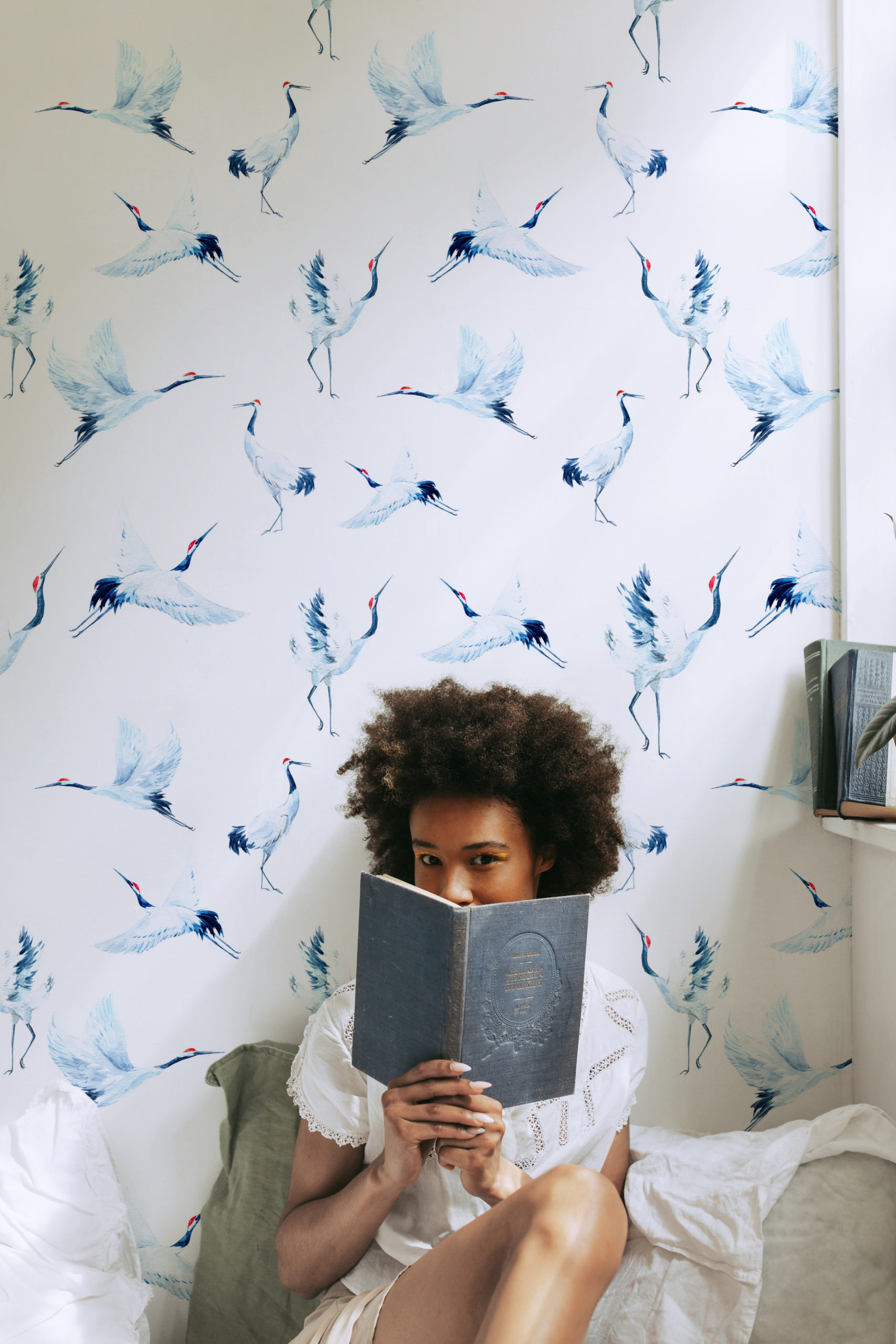 papier peint n°46 oiseaux aquarelle nature chambre papier peint n°46 oiseaux aquarelle nature chambre