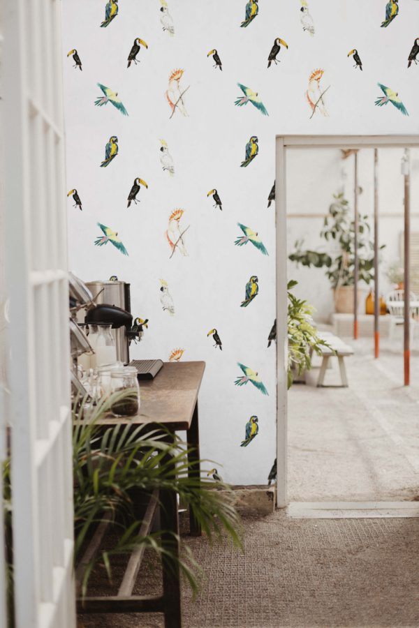 papier peint n48 oiseaux tropicaux vintage espace public cuisine