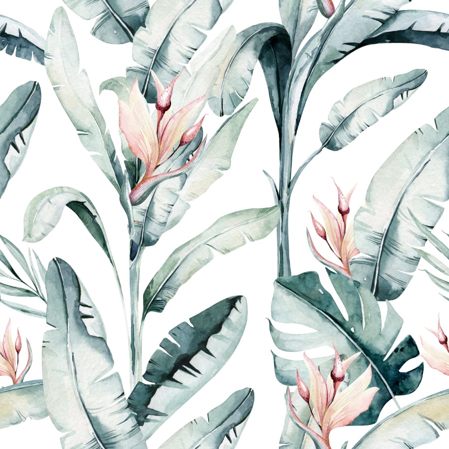 papier peint n97 plantes élégantes oiseaux du paradis aquarelle motif