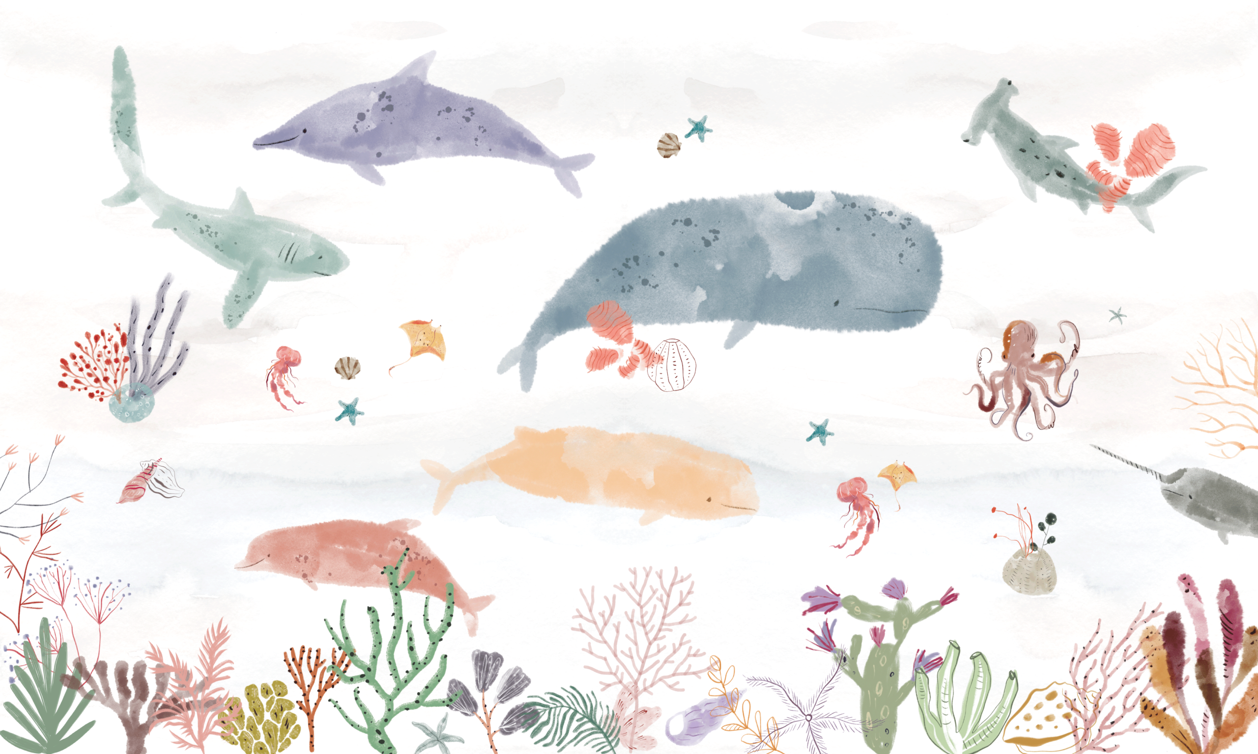 ocean