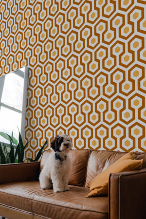 papier peint hexagone x n204