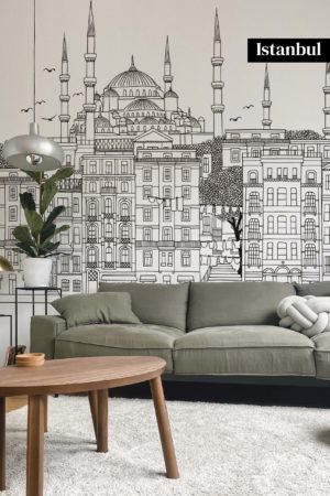 Papier peint Istanbul en noir et blanc