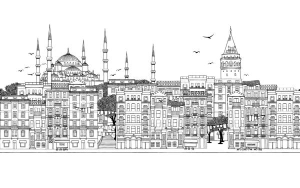 Papier peint Istanbul en noir et blanc
