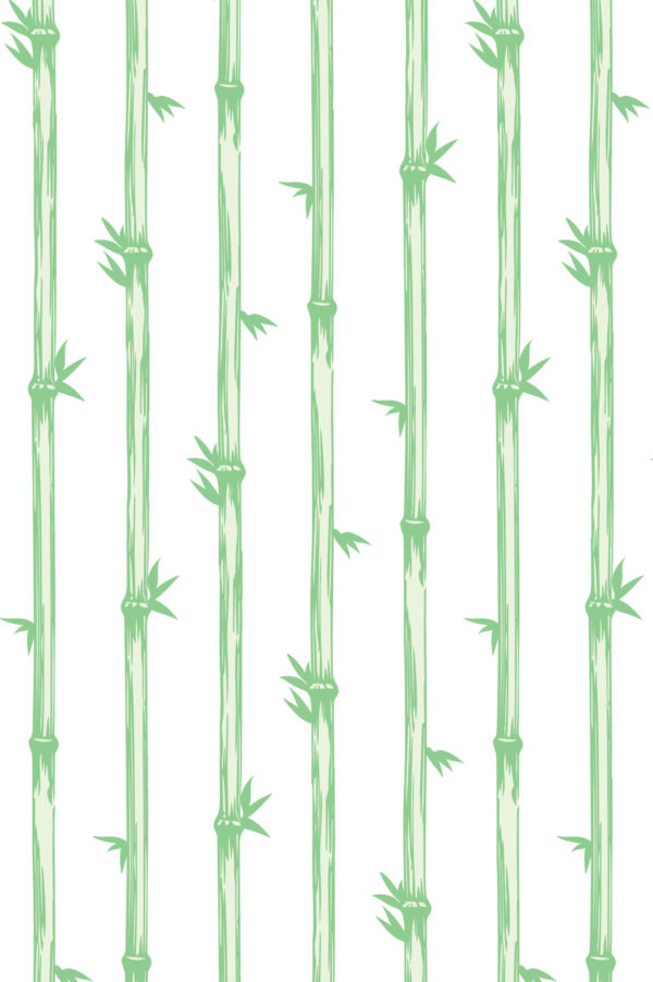 N267 papier peint forêt de bambous