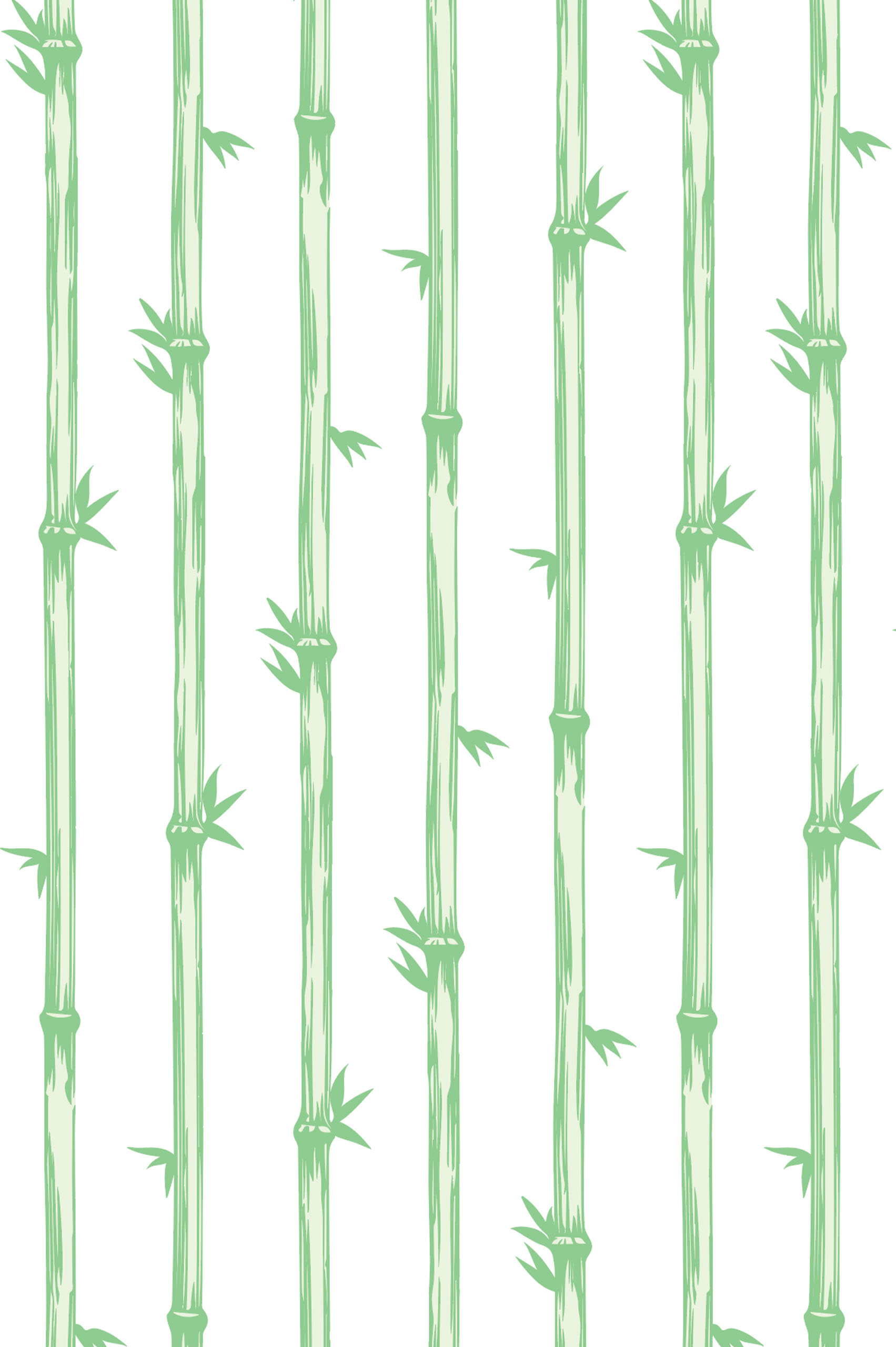 N267 papier peint forêt de bambous