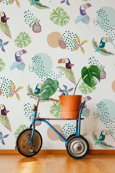 N275 Toucan Wallpaper