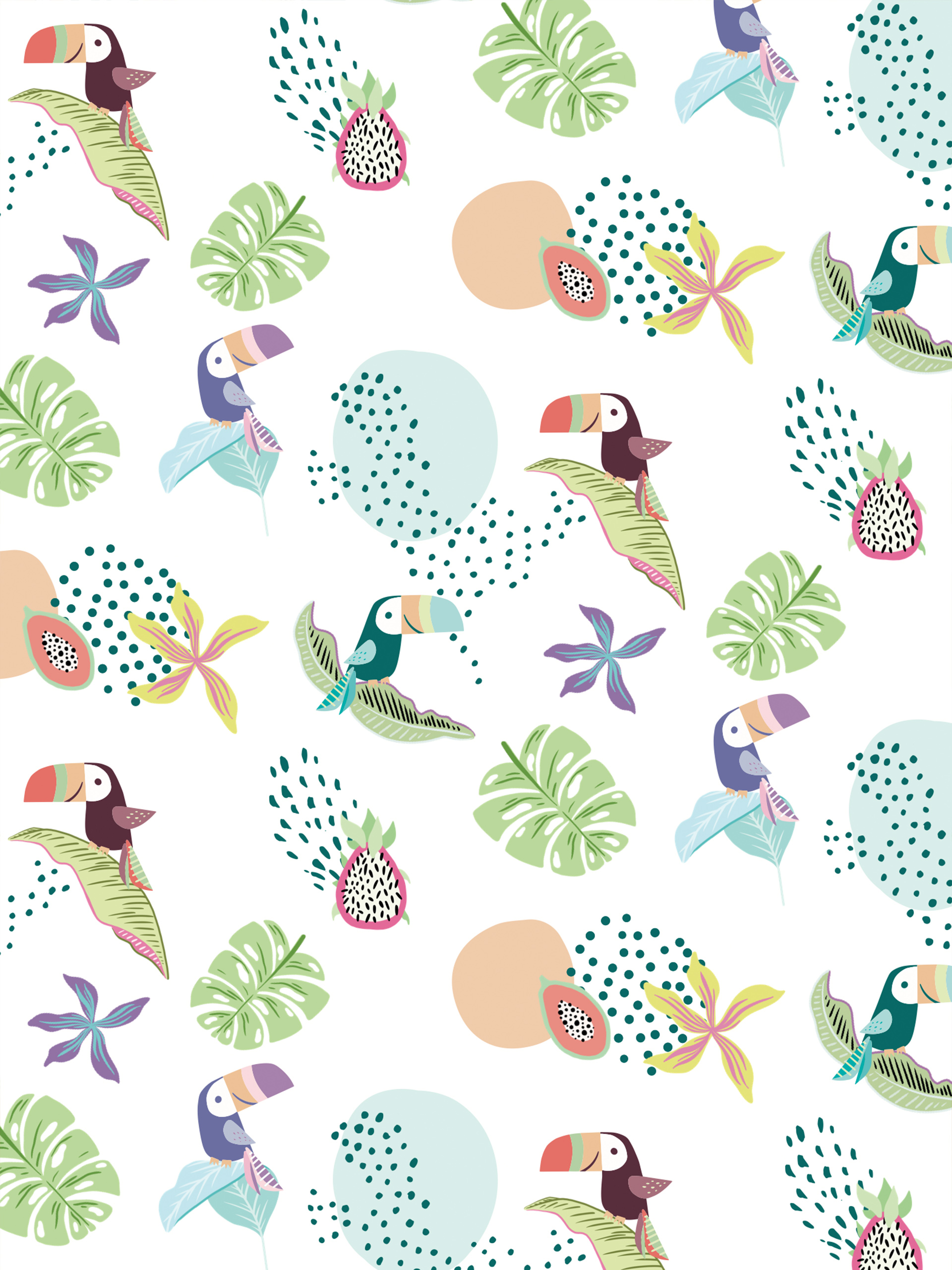 N275 papier peint toucan