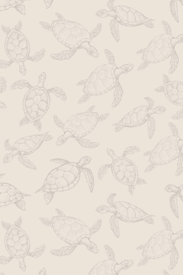 papier peint 320 tortue minimaliste beige motif