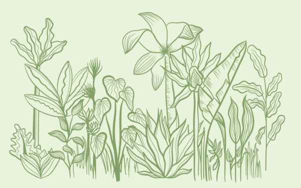 papier peint feuilles végétales panoramique vert
