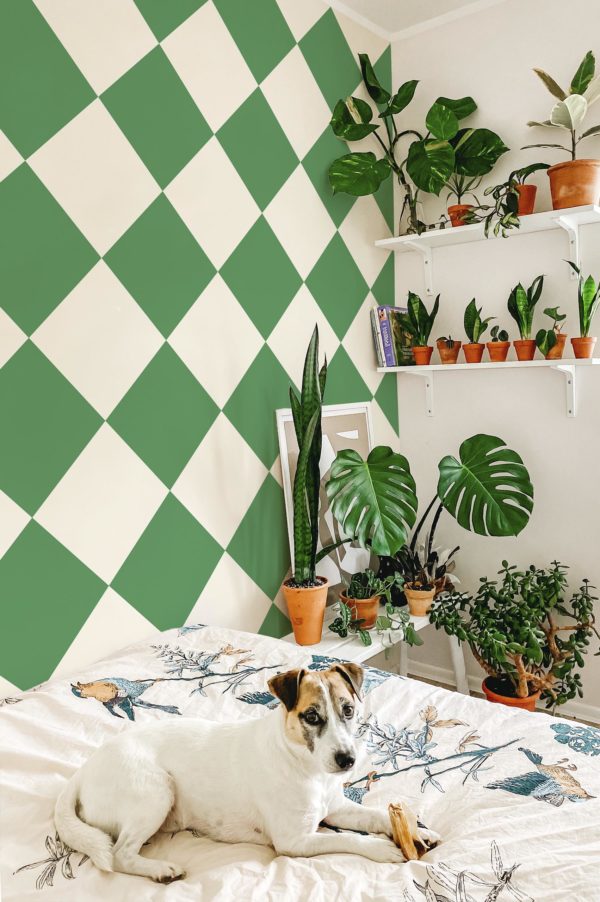 chambre vert papier peint damier sensation géométrique tendance