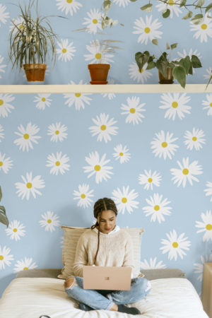 chambre bleu papier peint marguerite floral printemps tendance