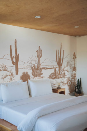 chambre terracotta papier peint végétal désert d'arizona