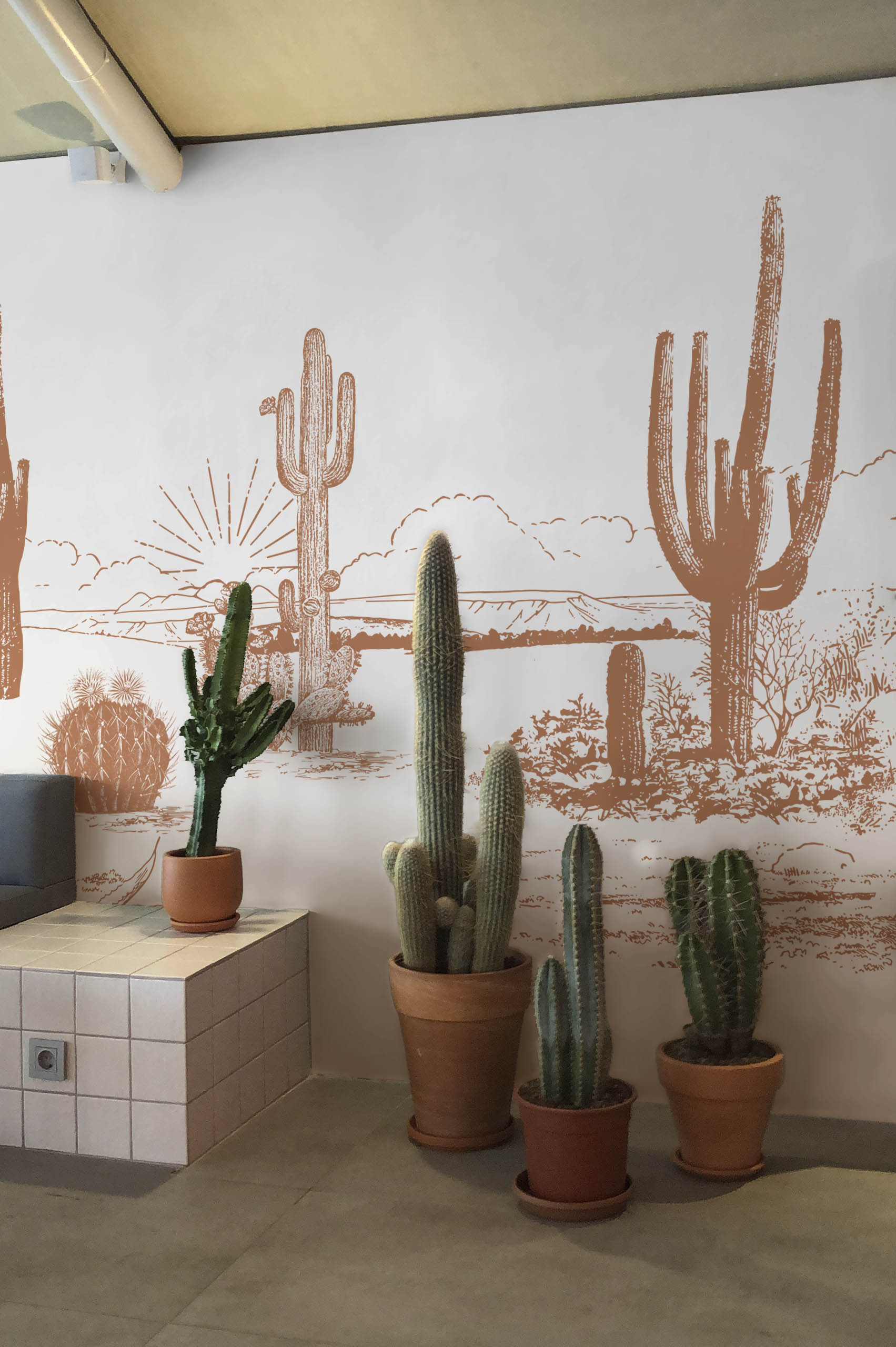 espace public terracotta papier peint végétal désert d'arizona