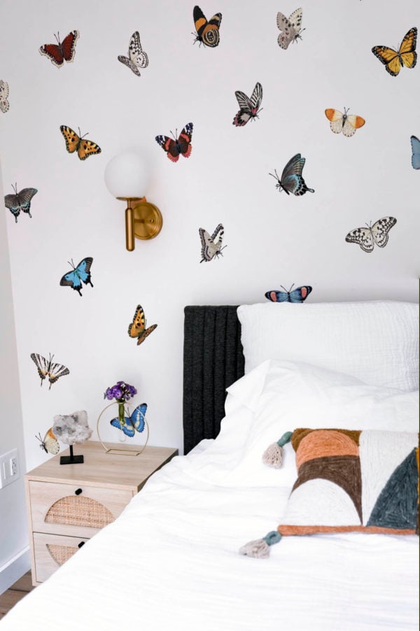 chambre papier peint animaux papillons multicolore