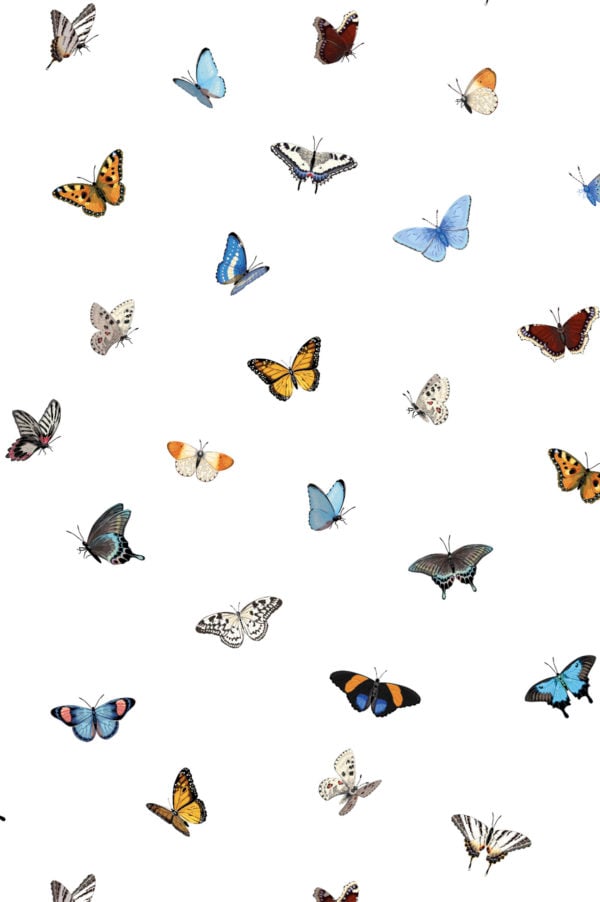 papel pintado animales mariposas multicolor