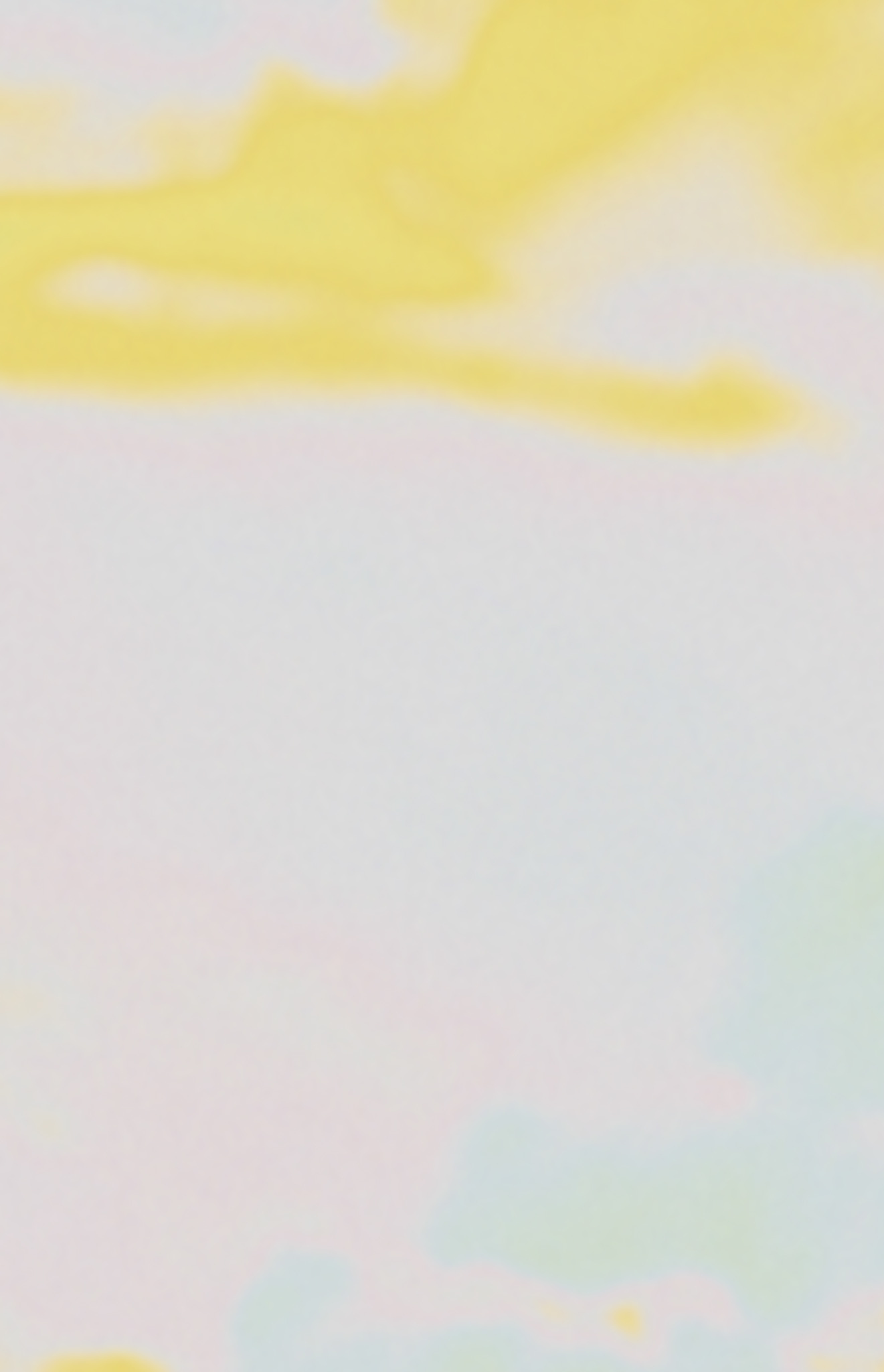 n514 jaune zoom motif