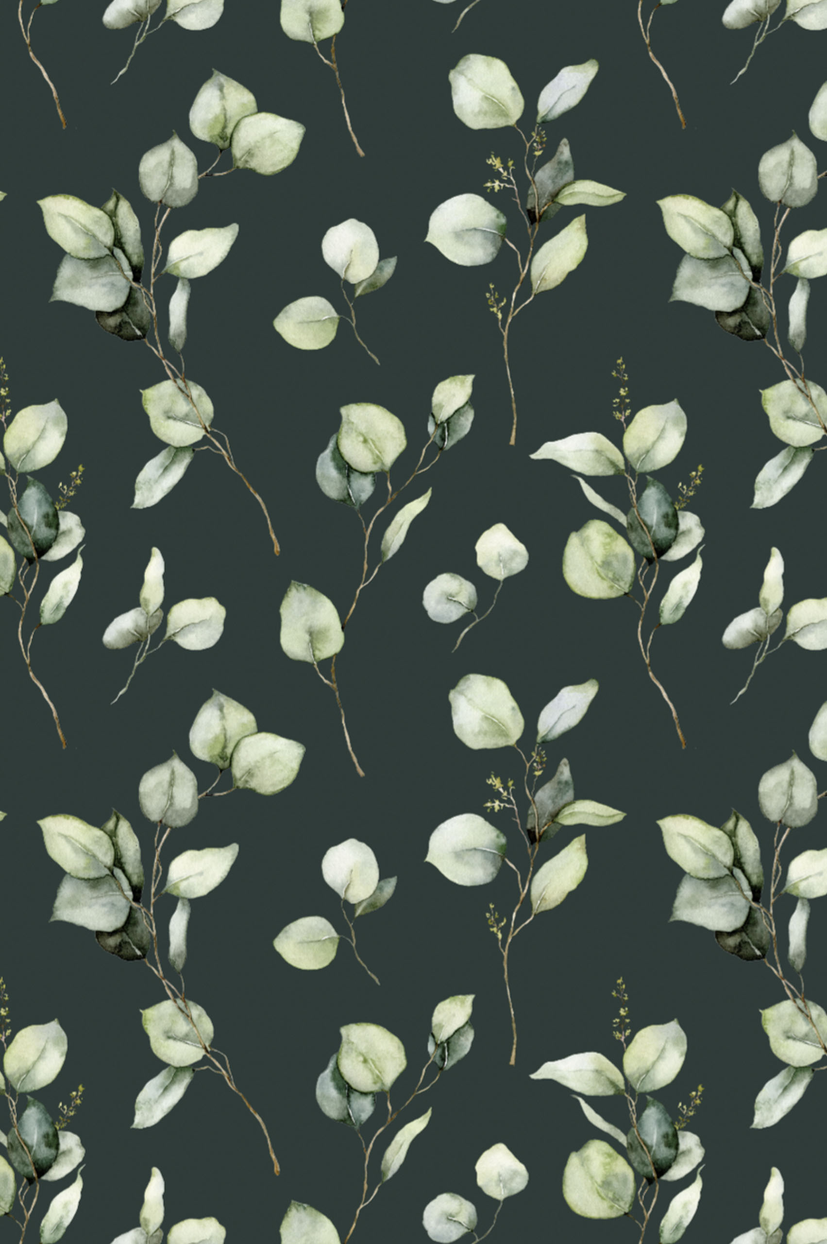 notif green eucalyptus wallpaper