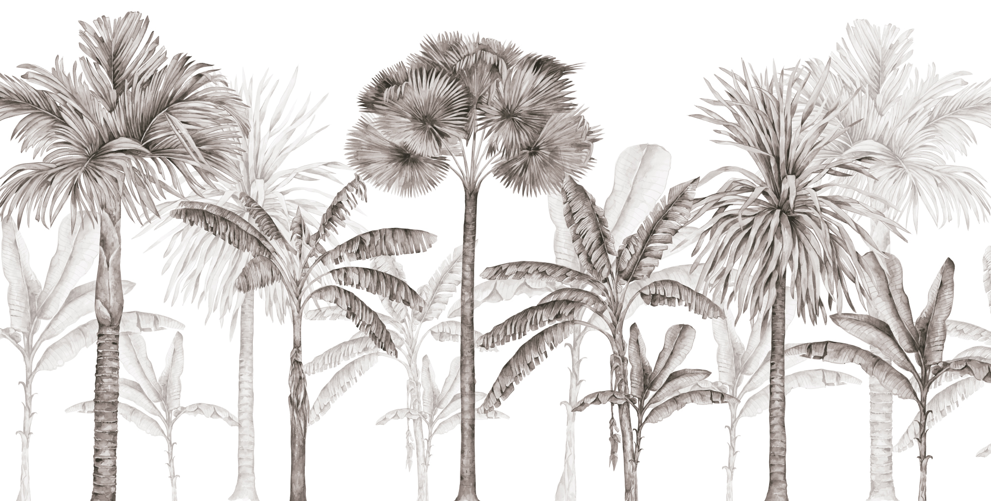 variation-74683-19cb3474