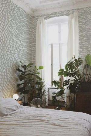 N°639 : Grain Sauvage - vert - chambre.