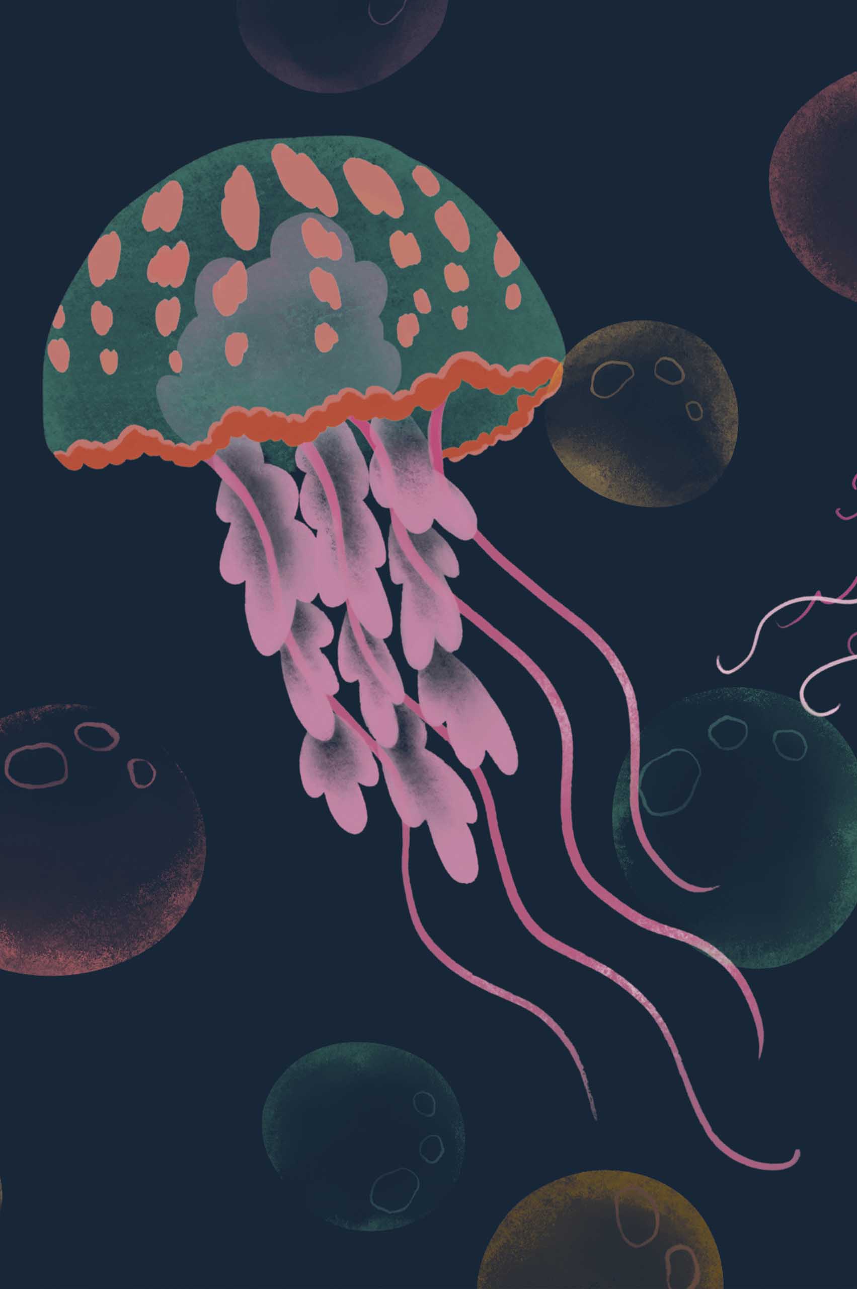 N742 Multicolor Zoom