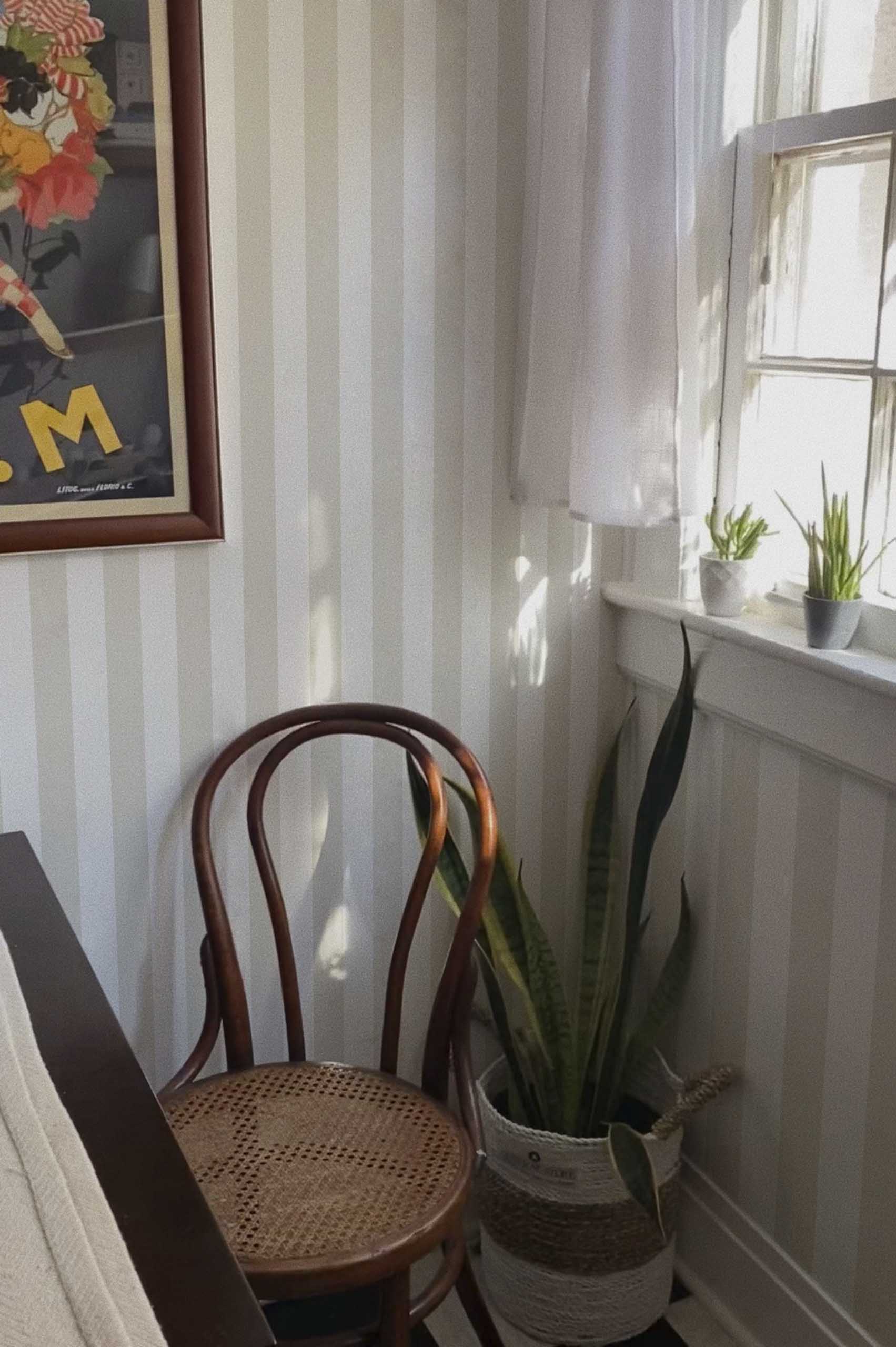 n744 creme cuisine copia