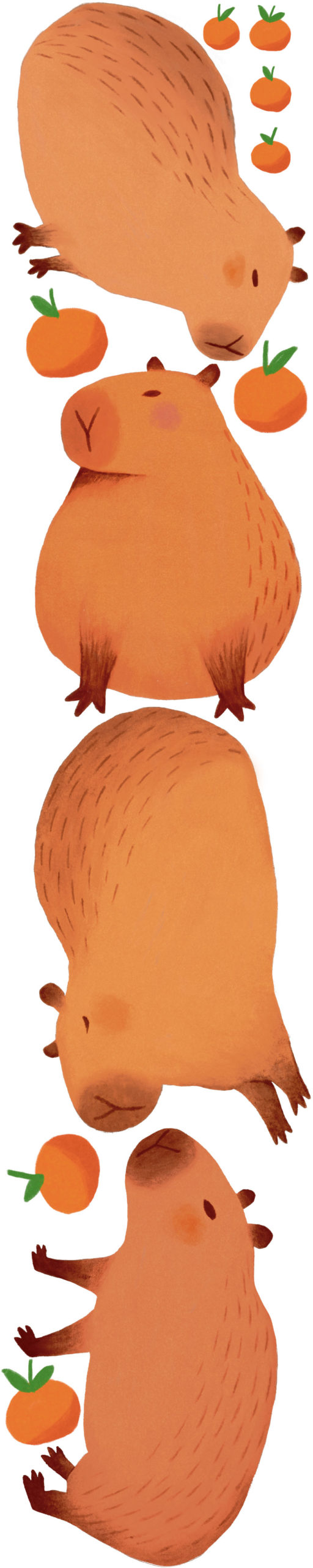 capybara